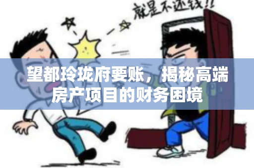 望都玲珑府要账，揭秘高端房产项目的财务困境