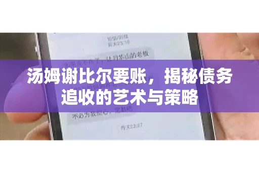 汤姆谢比尔要账，揭秘债务追收的艺术与策略