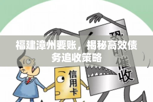 福建漳州要账，揭秘高效债务追收策略