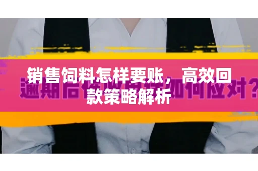 销售饲料怎样要账，高效回款策略解析