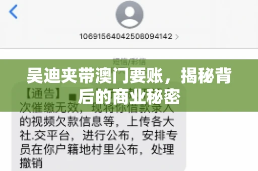吴迪夹带澳门要账，揭秘背后的商业秘密