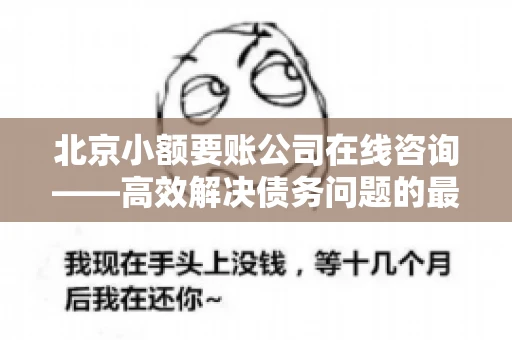 北京小额要账公司在线咨询——高效解决债务问题的最佳途径
