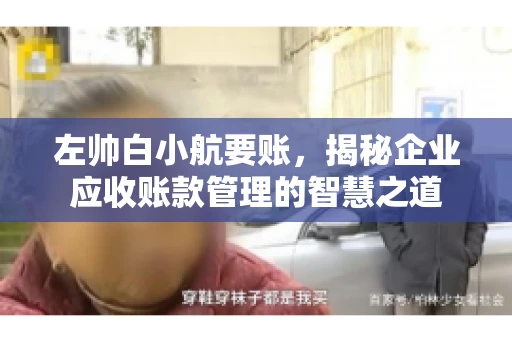 左帅白小航要账，揭秘企业应收账款管理的智慧之道