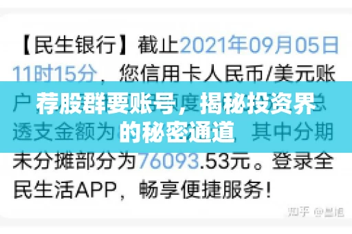 荐股群要账号，揭秘投资界的秘密通道