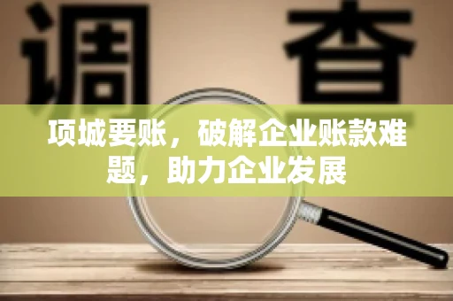 项城要账，破解企业账款难题，助力企业发展