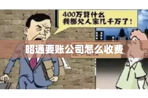 昭通要账公司怎么收费