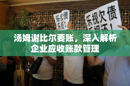 汤姆谢比尔要账，深入解析企业应收账款管理