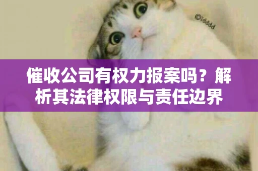 催收公司有权力报案吗？解析其法律权限与责任边界
