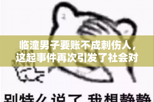 临潼男子要账不成刺伤人，这起事件再次引发了社会对讨债行为的关注。在这个故事中，我们不仅要了解事件的经过，还要思考如何避免类似悲剧的发生。