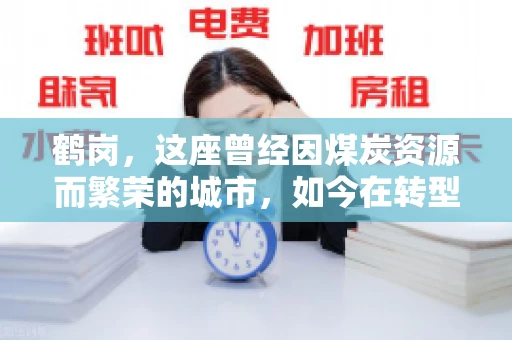 鹤岗，这座曾经因煤炭资源而繁荣的城市，如今在转型中寻求新的发展路径。在这座城市中，有一家名为“鹤岗要账公司”的企业，它以专业的服务，在众多企业中脱颖而出。今天，就让我们一起来了解一下这家公司，看看它是如何在这个充满挑战的市场中立足的。