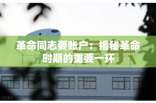 革命同志要账户：揭秘革命时期的重要一环