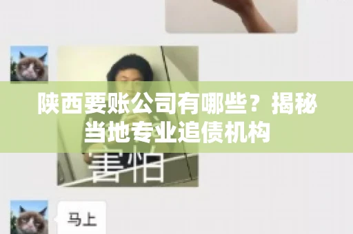 陕西要账公司有哪些？揭秘当地专业追债机构