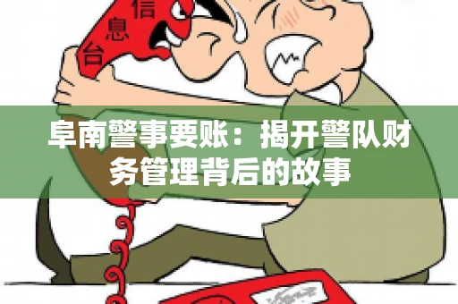 阜南警事要账：揭开警队财务管理背后的故事