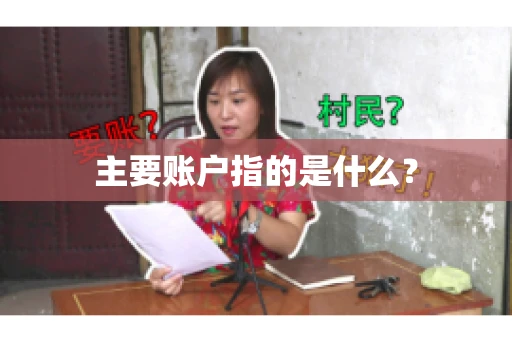 主要账户指的是什么？