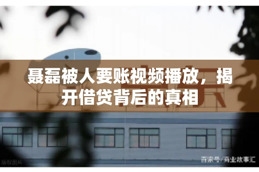 聂磊被人要账视频播放，揭开借贷背后的真相