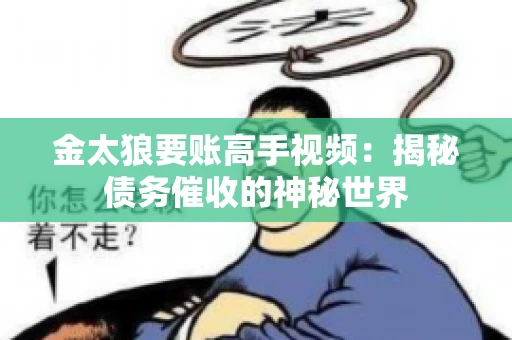 金太狼要账高手视频：揭秘债务催收的神秘世界