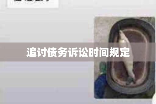 追讨债务诉讼时间规定