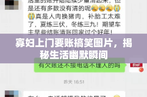 寡妇上门要账搞笑图片，揭秘生活幽默瞬间