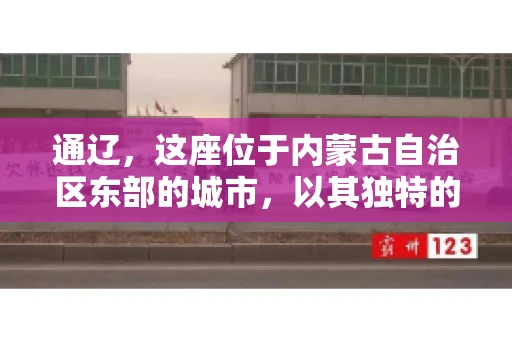 通辽，这座位于内蒙古自治区东部的城市，以其独特的地理位置和丰富的自然资源而闻名。然而，对于许多企业来说，通辽的另一个重要角色可能是其作为要账公司的聚集地。那么，通辽究竟有几家要账公司呢？今天，我们就来聊聊这个话题。