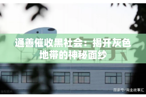 通善催收黑社会：揭开灰色地带的神秘面纱