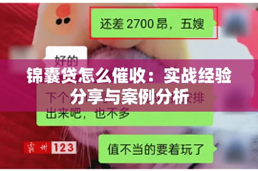 锦囊贷怎么催收：实战经验分享与案例分析