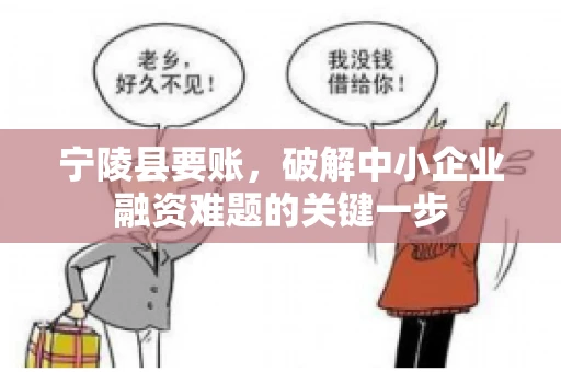 宁陵县要账，破解中小企业融资难题的关键一步