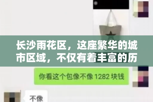 长沙雨花区，这座繁华的城市区域，不仅有着丰富的历史文化，还有着繁忙的金融活动。其中，催收公司作为金融行业的一个重要组成部分，在这里也有着不少的身影。那么，长沙雨花区都有哪些催收公司呢？今天，我们就来聊聊这个话题。