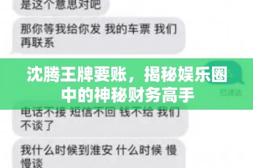 沈腾王牌要账，揭秘娱乐圈中的神秘财务高手