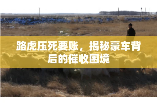 路虎压死要账，揭秘豪车背后的催收困境